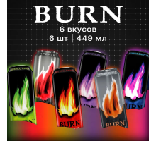 Burn Микс 6 вкусов, 6х0,449л